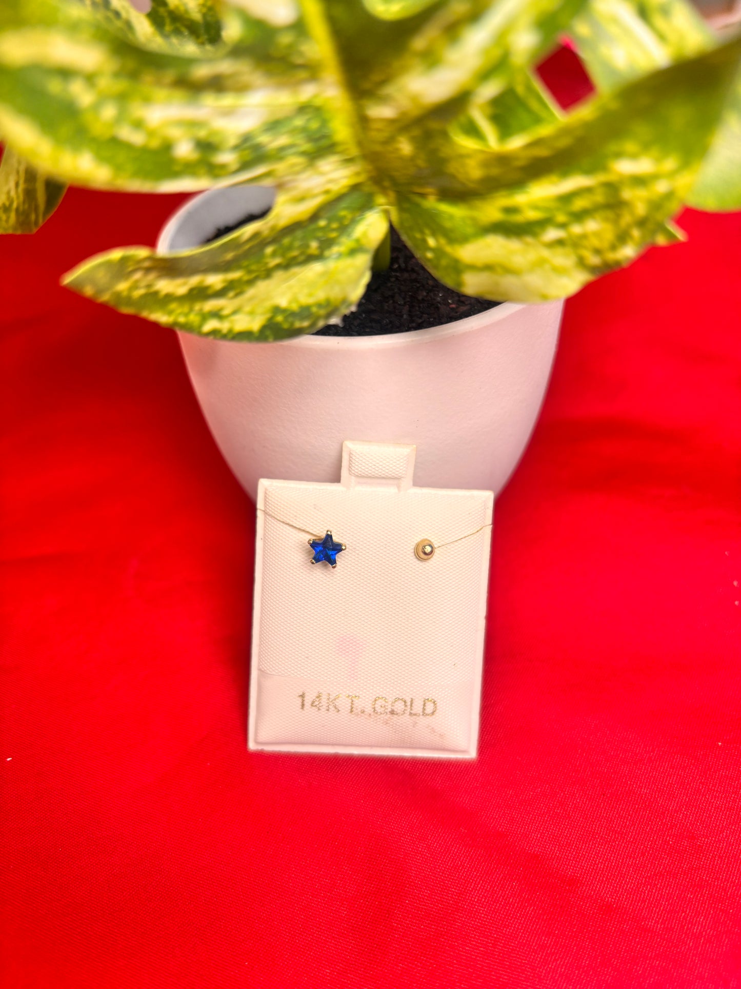 14k aretes estrella azul