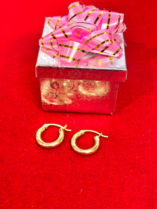 ARETES DONITA oro14 K